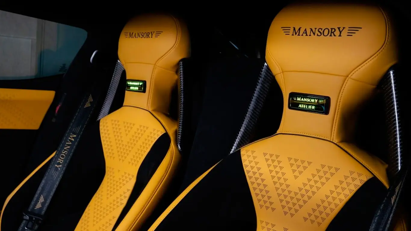 Ford GT Mansory,Under Armour