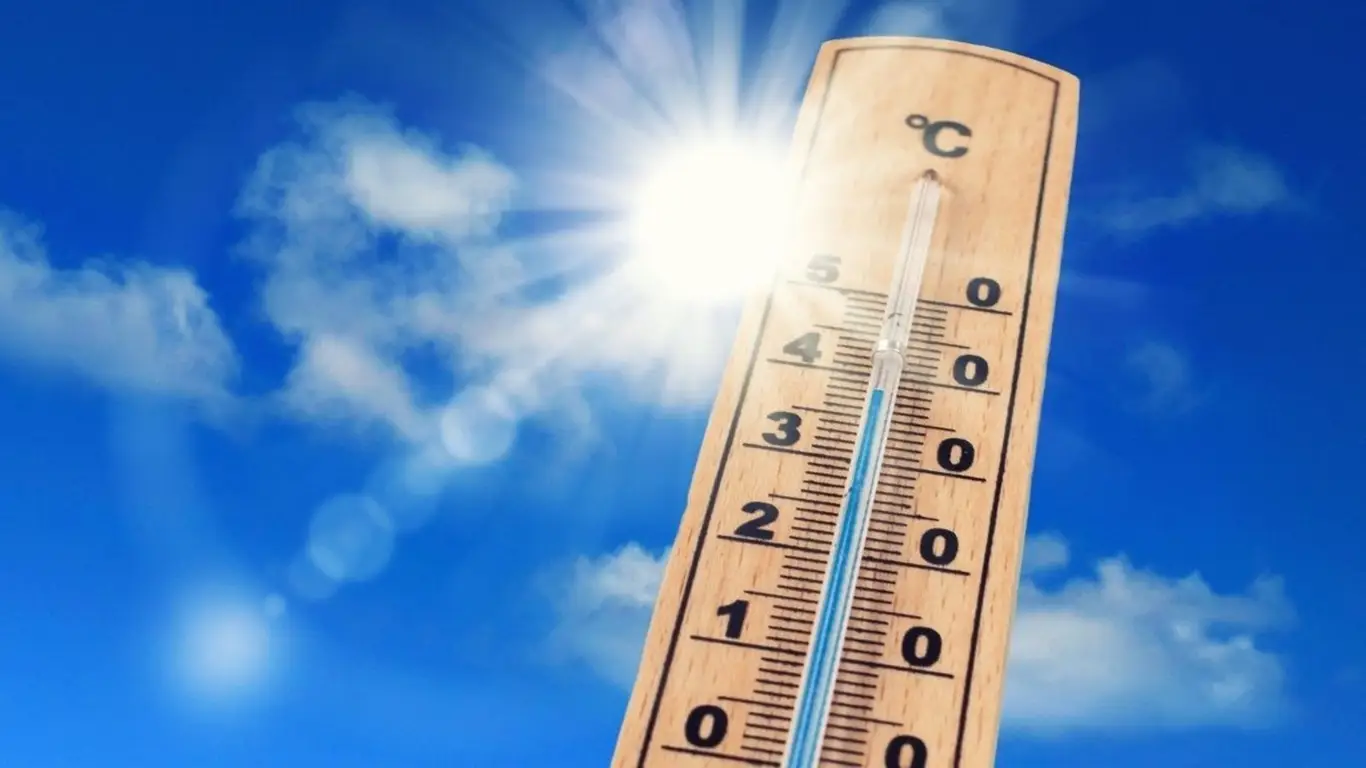 Летняя дорога в Брянске — это не отпуск: как не «убить» машину в зной