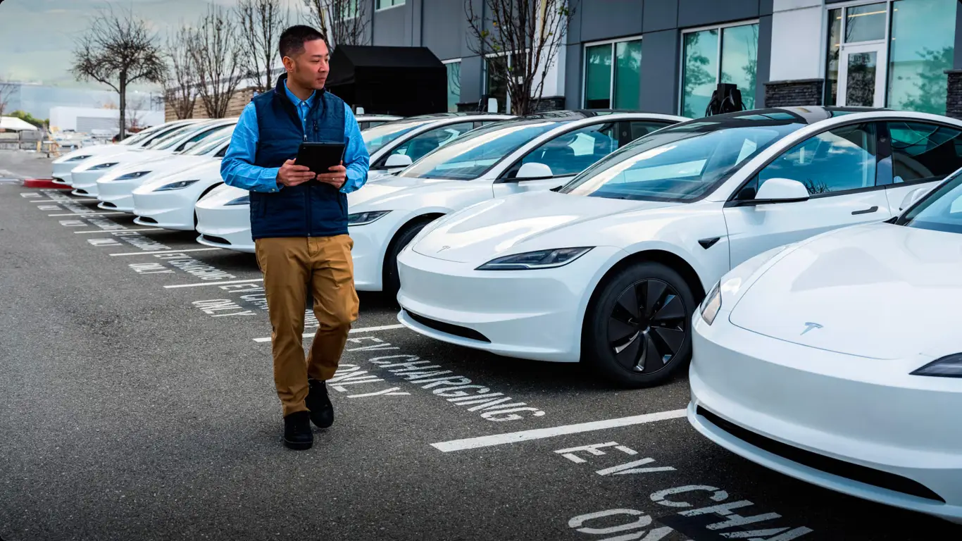 Маск пришел за рупиями: автопилот Tesla учит хинди, ищет несуществующие зарядки и знакомится со слонами