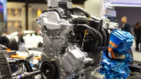 Россия против Европы: тренд, который делает нас разными