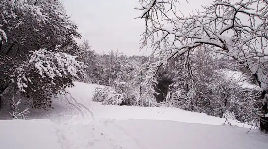 Мгновение, когда лето теряет сцепление: зима подкрадывается тихо, но беспощадно