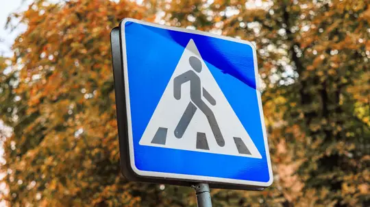 Дороги заговорят по-новому: в России вводят более 60 свежих дорожных знаков