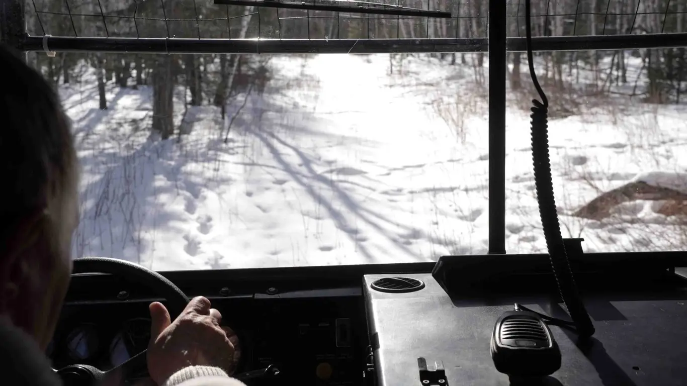 Остались только они: на какой коммерческий транспорт пересели россияне