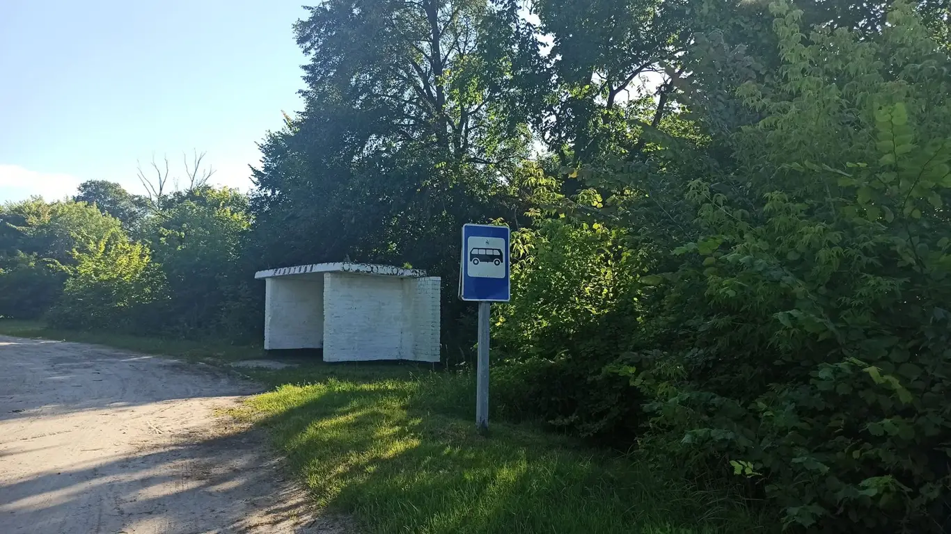 Шансы попасть в автобус утром увеличатся: новая городская модель от ЛиАЗ